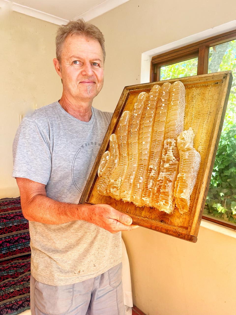 Honeycomb from our urban hives