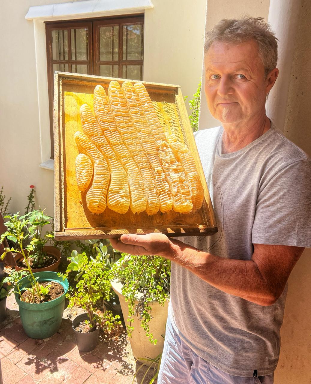 Bees' Choice Honey Business Photo