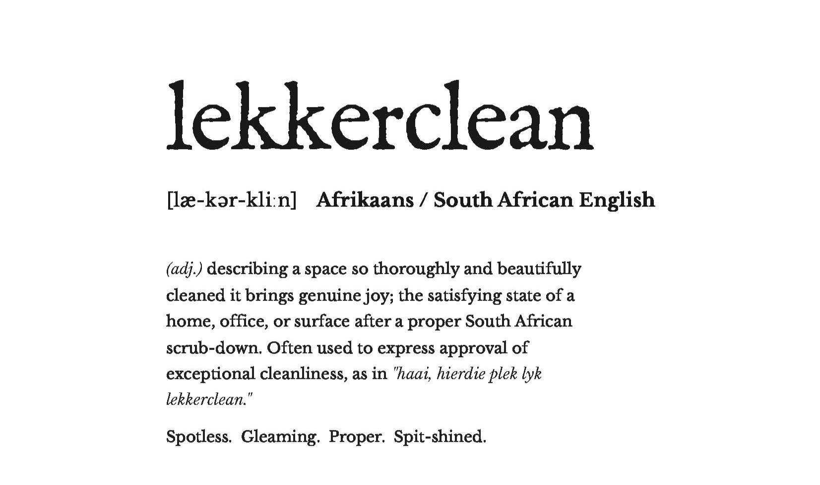 LekkerClean Professional Cleaning Team